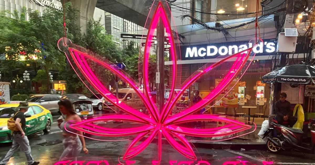 Featured image for Thailand Reverses Cannabis Laws Amid Business and Regulatory Challenges
