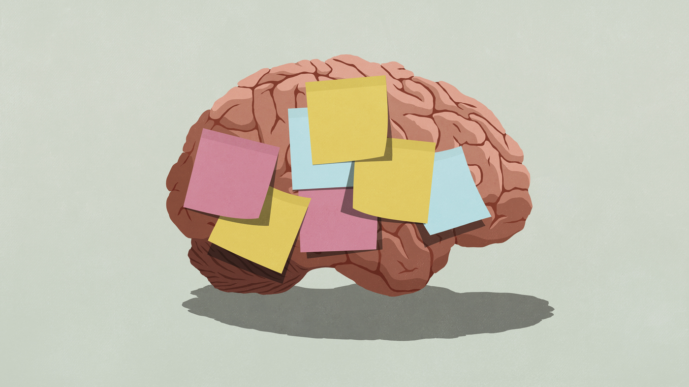 Featured image for Electric Brain Stimulation Improves Memory Recall for TBI Patients