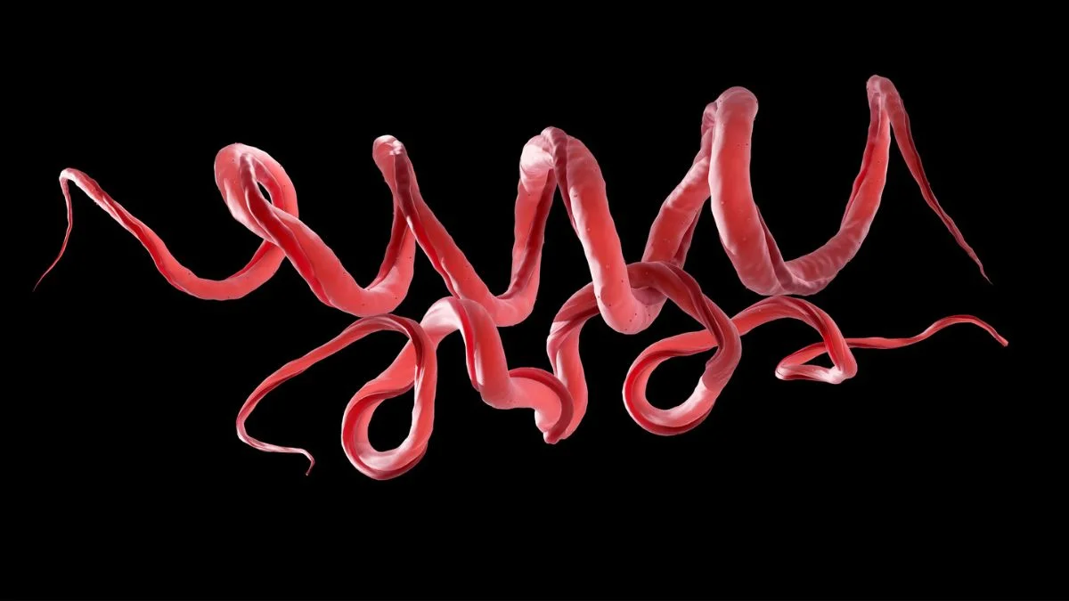 Ancient Colombian Skeleton Pushes Back Syphilis Origins by Millennia