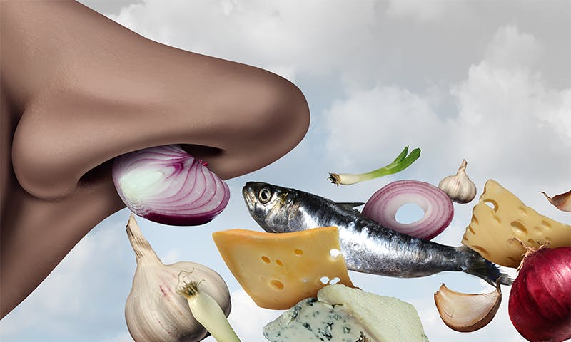 Featured image for "Smell Loss: A Potential Early Indicator of Brain Diseases"