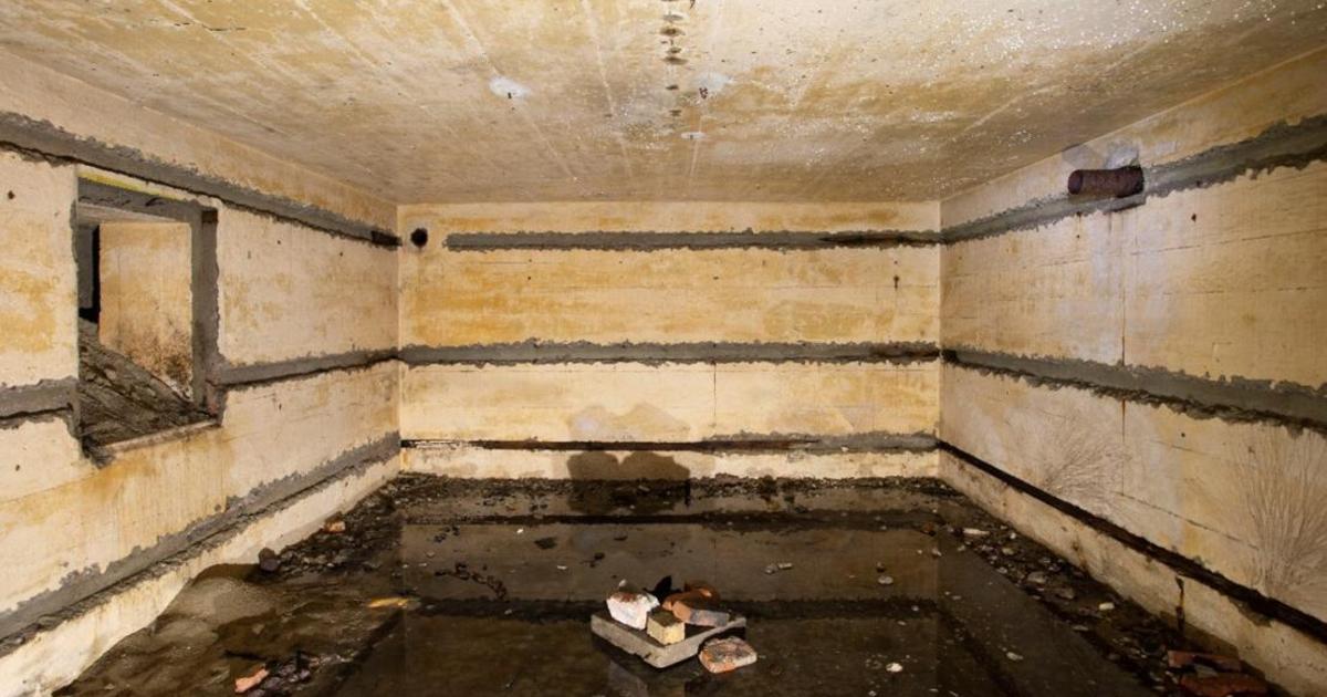 Featured image for "German World War II Bunkers Uncovered in Belgian Nature Restoration Project"