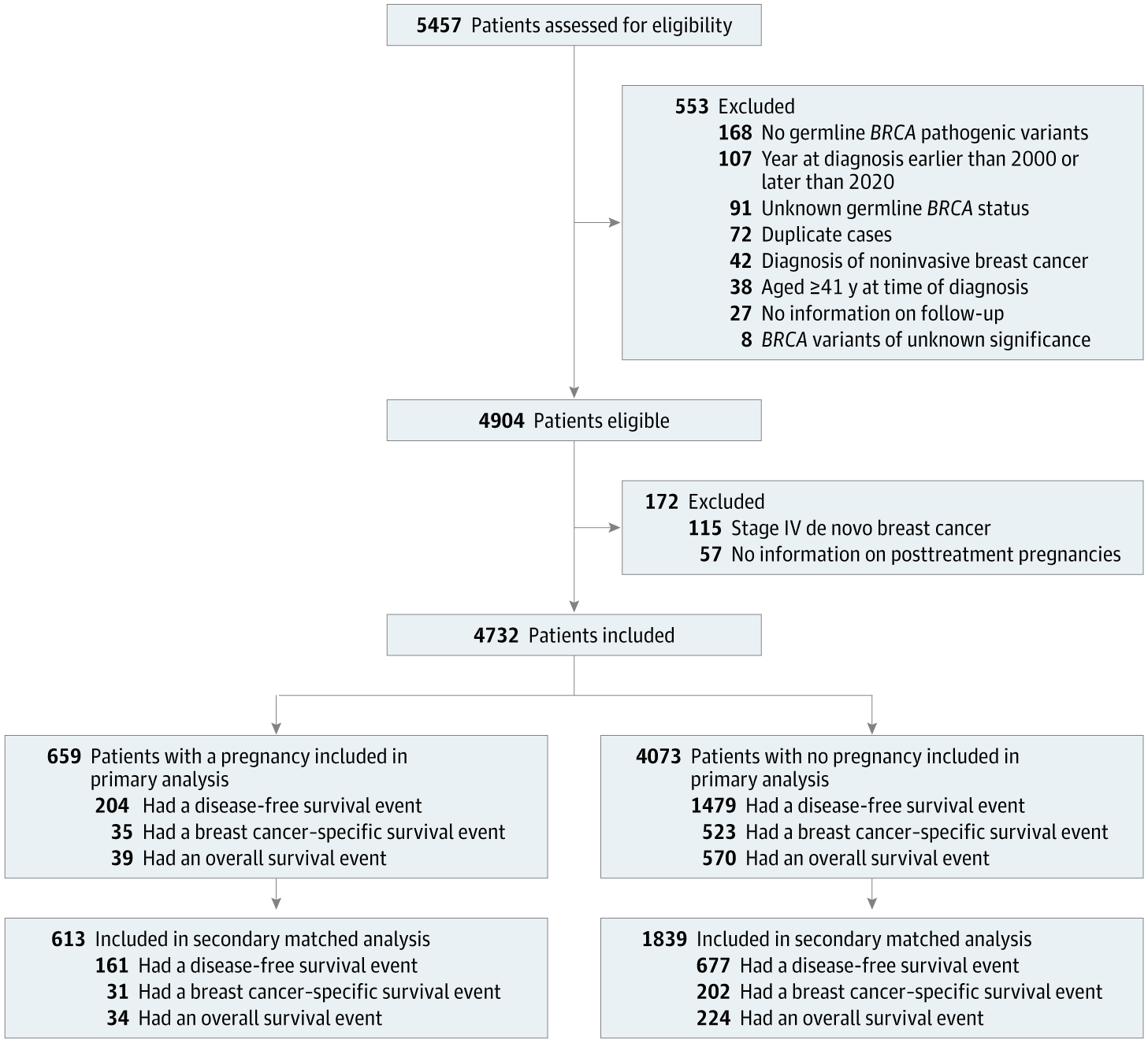 Fertility and Breast Cancer: Pregnancy Possibilities for Young BRCA Carriers