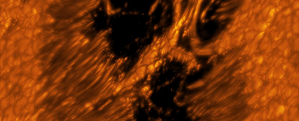 Revealing Hidden Details in Sun Glare through Close-Ups.