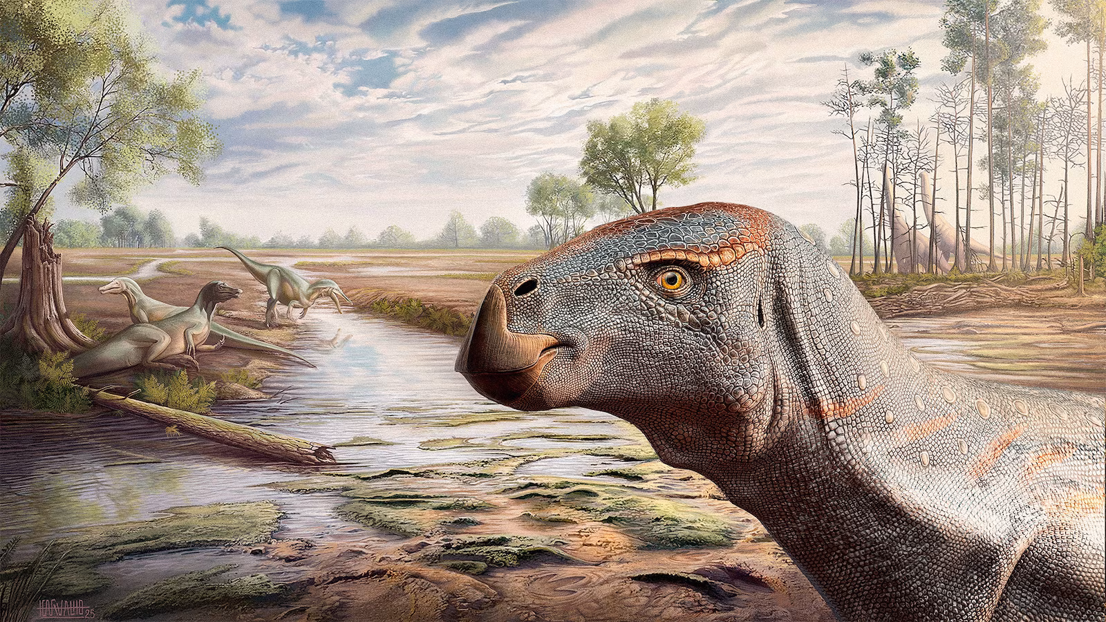 Rare Iguanodontian Dinosaur Species Discovered in Portugal