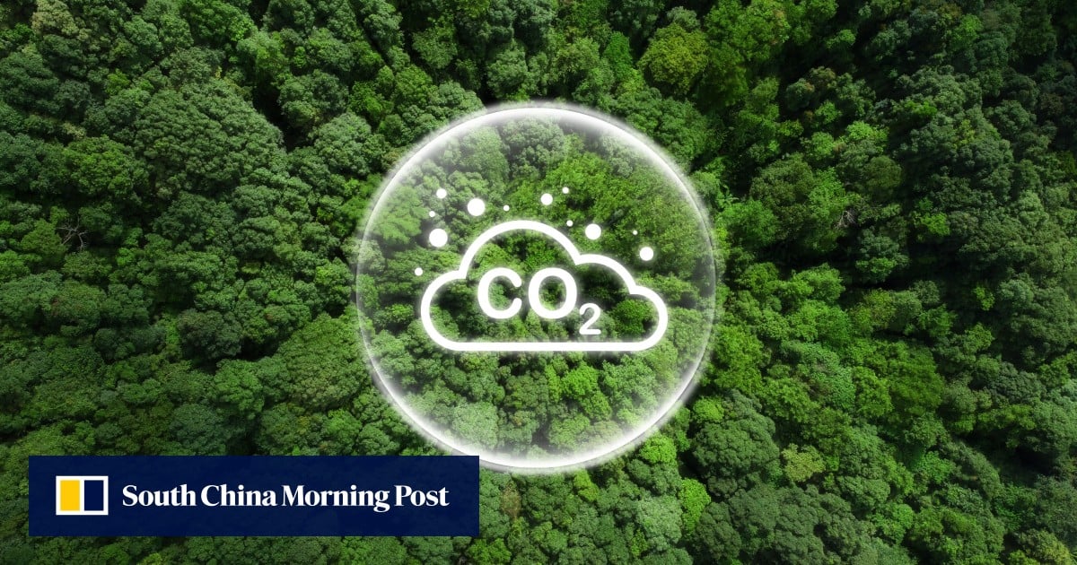 Featured image for "Chinese-Led Team Achieves Milestone in Carbon Dioxide Reduction"