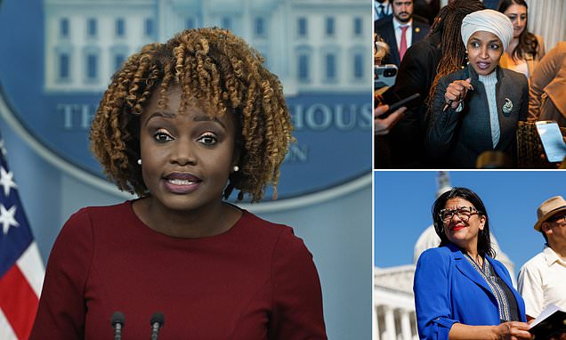 White House Condemns 'Squad' Democrats and Calls for End to US Support of Israel