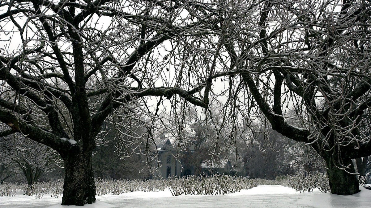 "Oregon Braces for Winter Storm with Snow, Freezing Rain, and Bitter Cold"