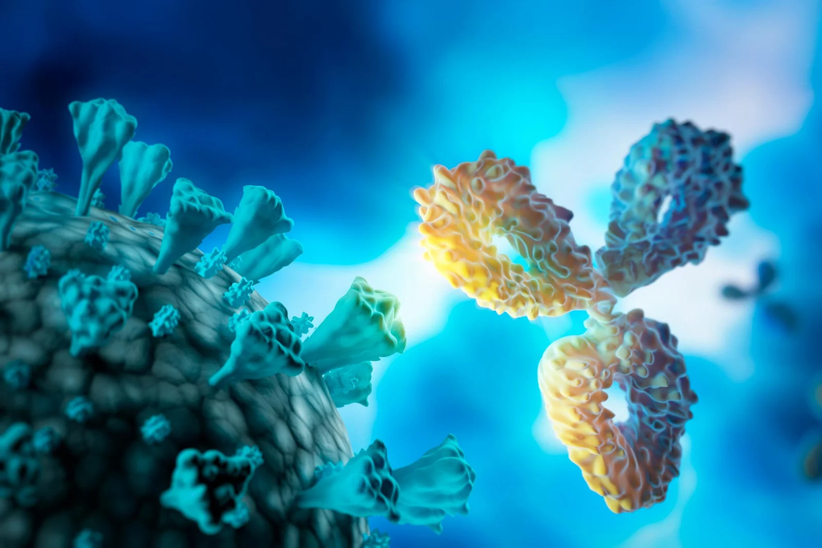 Tiny llama nanobodies lock coronavirus spike to block infection across variants