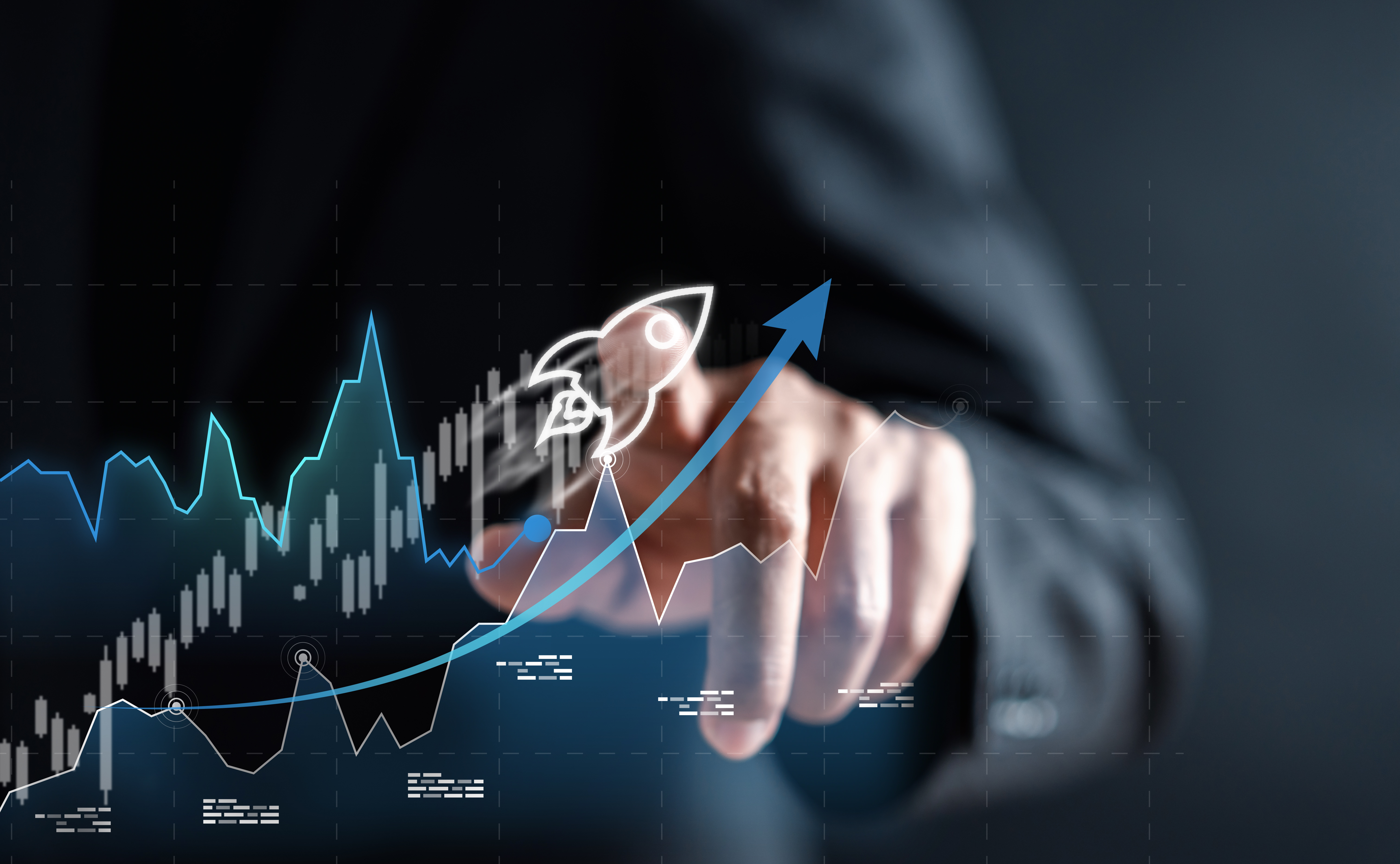 "Top 2024 Dividend Stocks for Long-Term Growth and High Yields"