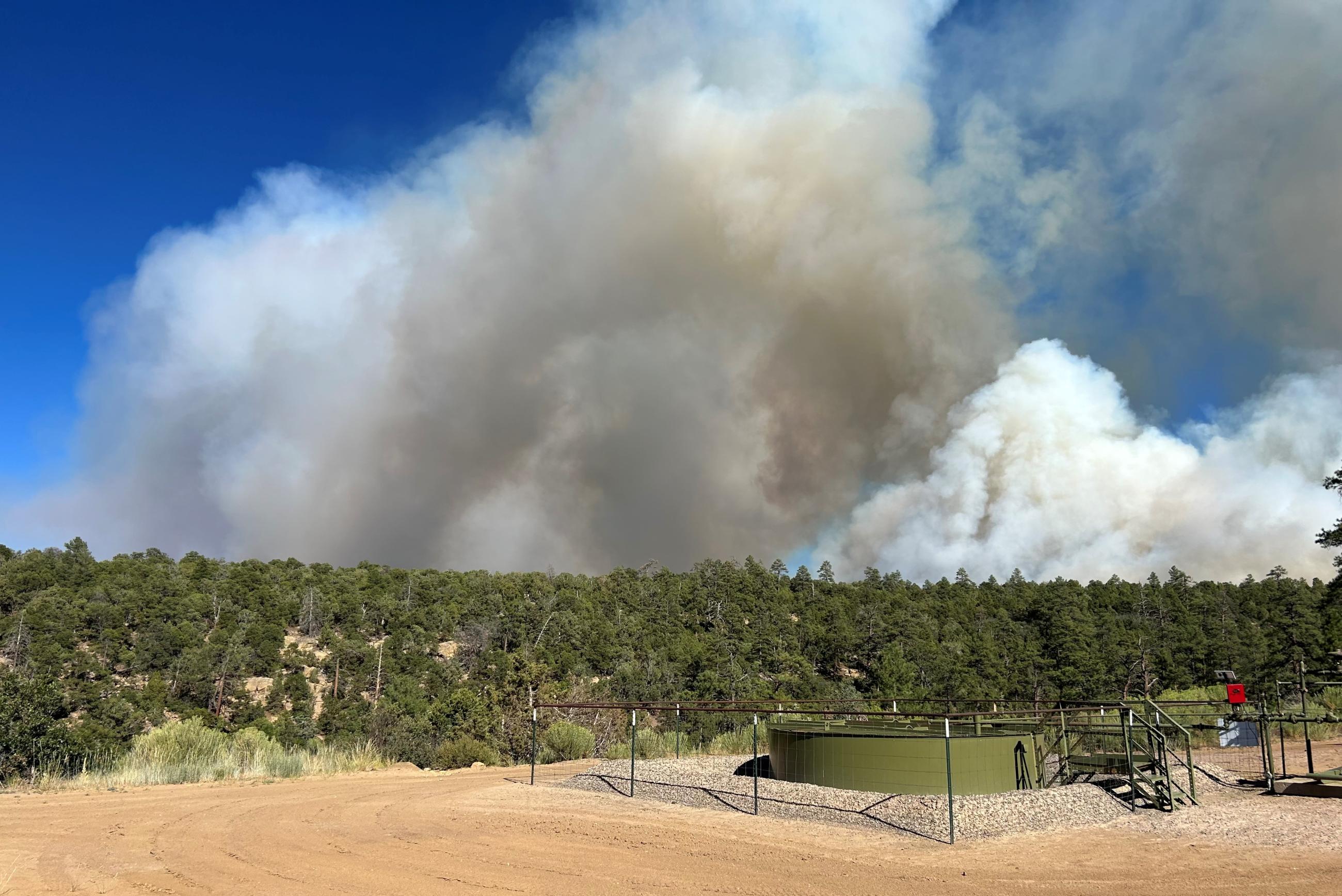 "Multiple Wildfires Blaze Across National Forests"