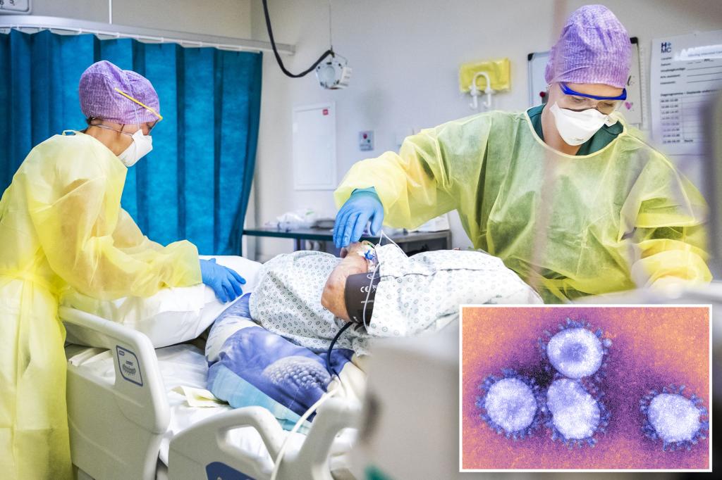 Featured image for "72-Year-Old Patient's 613-Day COVID Infection Spurs Fear of New Mutations"