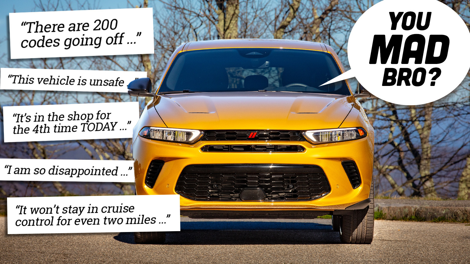 Featured image for Hornet Owners Forum: Regretful Buyers and Persistent Breakdowns