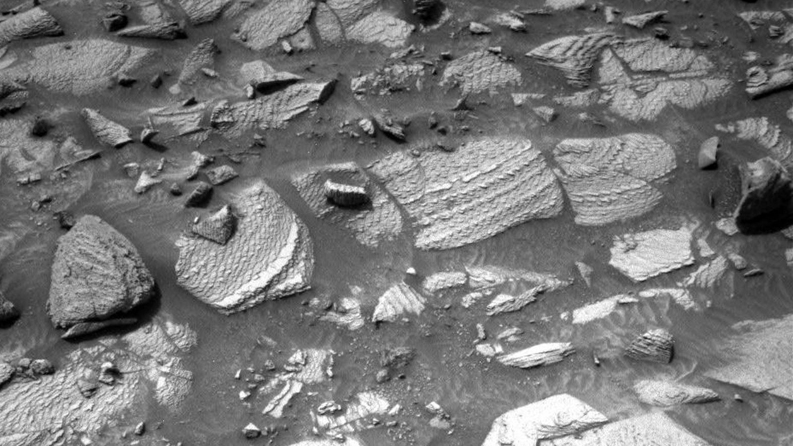"NASA's Curiosity Rover Discovers Mysterious 'Dragon Scale' Rocks on Mars"