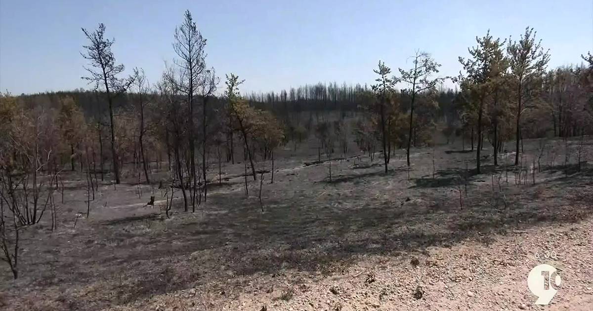 Private Campfire Sparks Large Michigan Wildfire