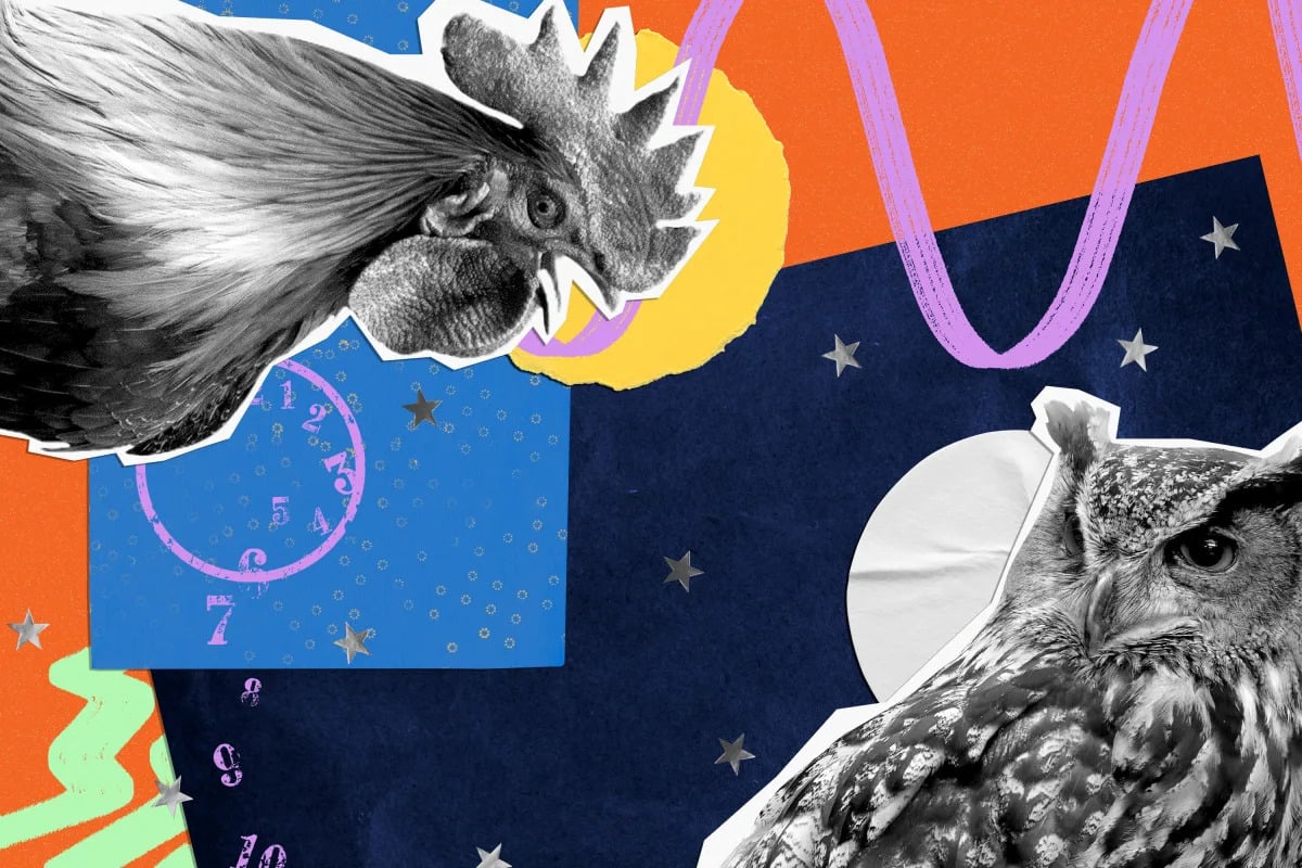 Featured image for The Health Debate: Early Birds vs. Night Owls