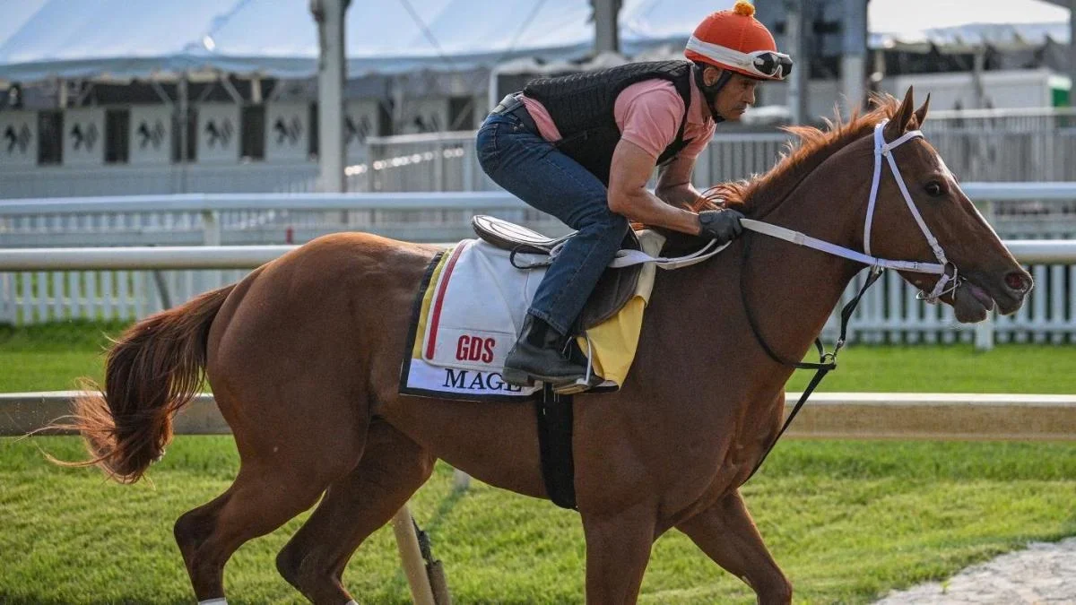 "2023 Preakness Stakes: Odds, Picks, and Predictions"