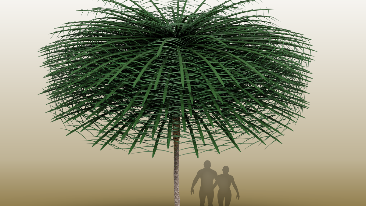 Featured image for "Unearthed: Bizarre Fossil Trees Resemble Dr. Seuss Creations"