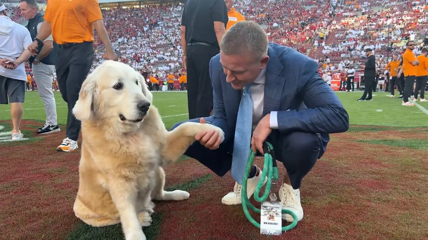 Featured image for Kirk Herbstreit Mourns Loss of Beloved Dog Ben After Cancer Battle