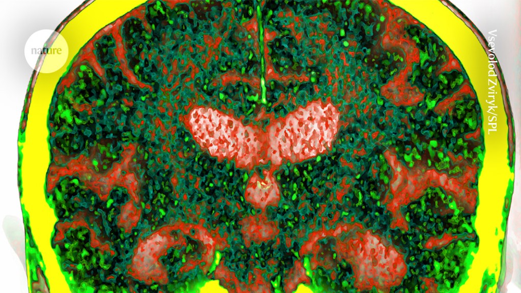 Featured image for "Blood Protein Test Predicts Dementia 15 Years in Advance"