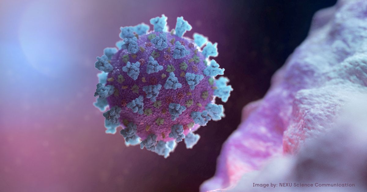 "US CDC Warns of Potential Infections in Vaccinated Individuals from New COVID Variant"