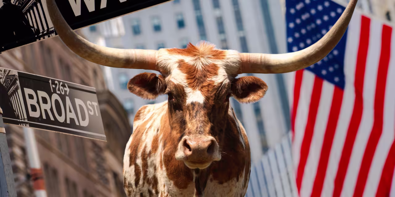 Bullish Analysts Predict Productivity Gains and Fed Intervention for Stock Market