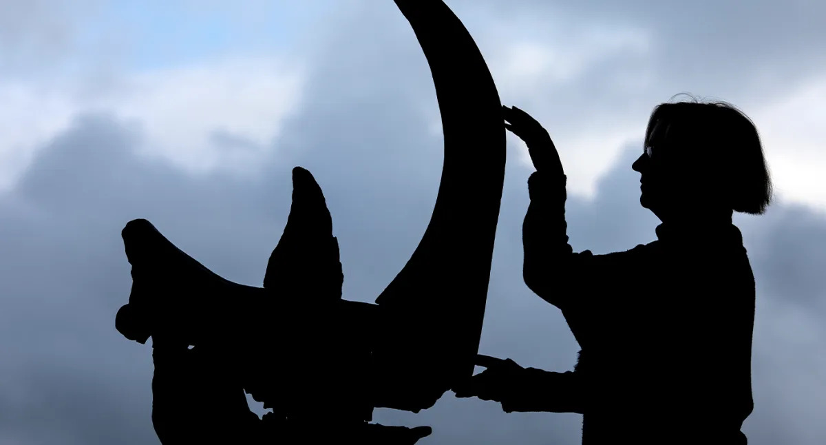 "Human Activity Linked to Woolly Rhinoceros' Extinction, Ancient Mystery Solved"