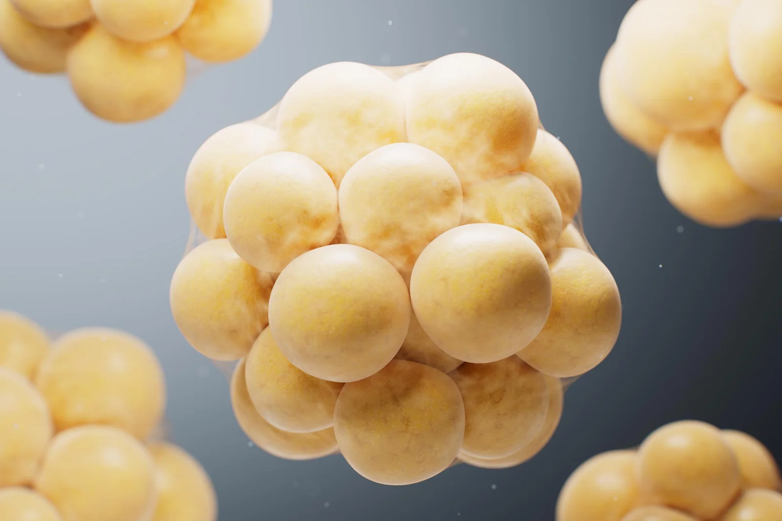 Death-Resistant Cells Drive Regeneration, Linking Wound Repair to Cancer Risk