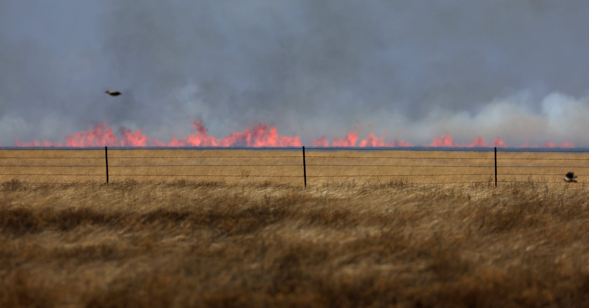 Featured image for 2023: Hottest Year on Record Triggers UN 'Red Alert' on Climate Crisis