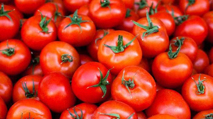 "New Research Suggests Tomatoes May Be Key to Managing Heart Health and Blood Pressure"