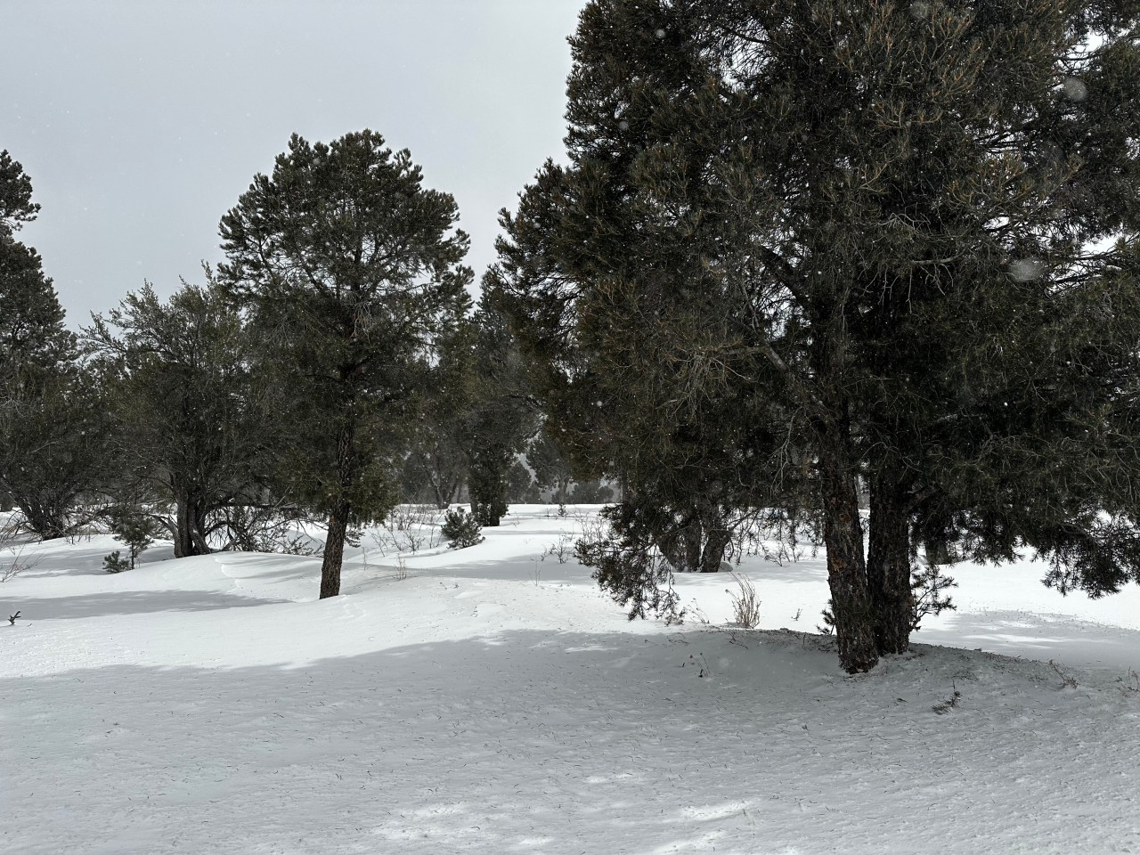 Lee Canyon Avalanche: Four Missing People Found Safe