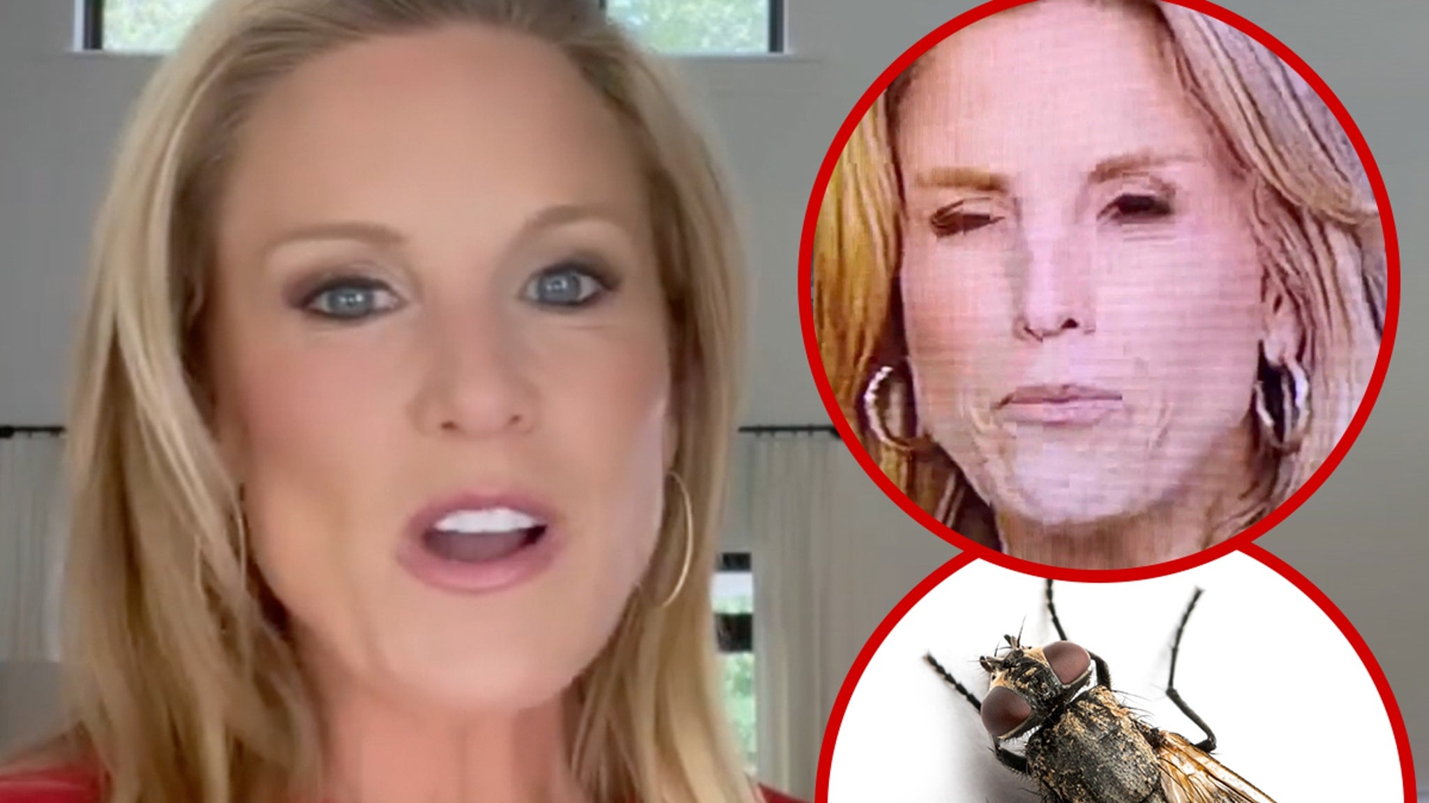 Boston News Anchor Vanessa Welch Swallows Fly Live on Air