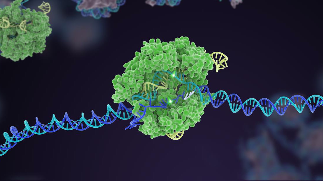 Featured image for AI Algorithm Discovers 188 Novel CRISPR Gene-Editing Systems