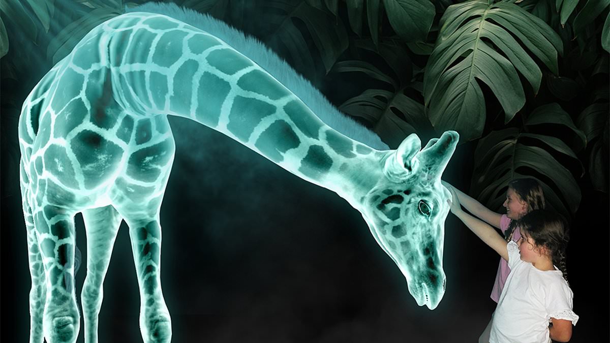 Featured image for "Exploring Australia's Groundbreaking 'Hologram Zoo' Experience"
