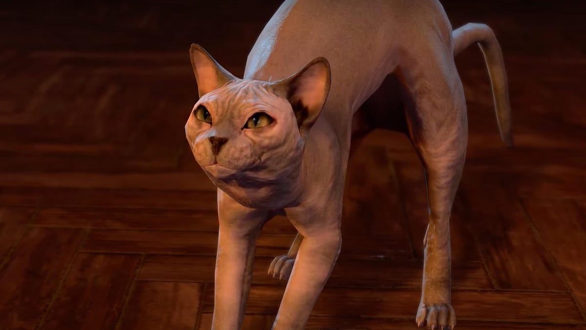 "Baldur's Gate 3 Devs Apologize and Shave His Majesty After Cat Fur Controversy"
