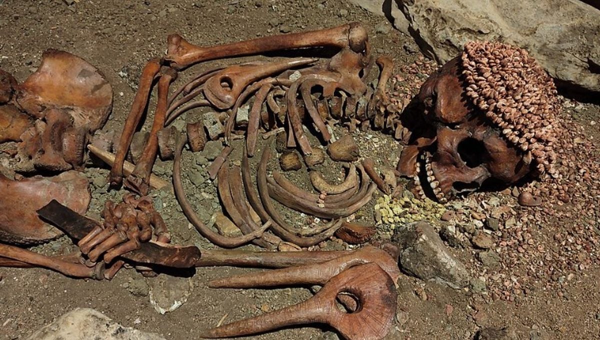 Featured image for Ancient Skeleton 'The Prince' Likely Killed by Bear 27,000 Years Ago