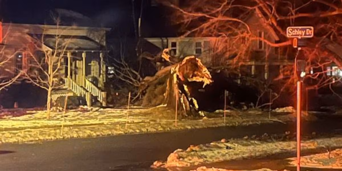 Featured image for "Widespread Power Outages Across New York State as Storm Brings 78 MPH Winds"