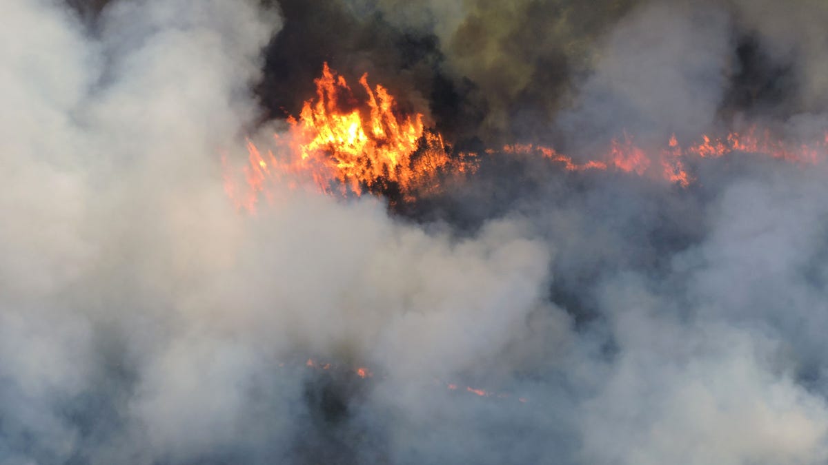 Michigan Wildfires Contained but Danger Remains High