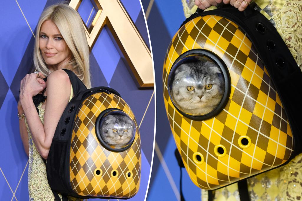 Featured image for "Argylle Premiere: Claudia Schiffer's Cat Chip Steals the Show"