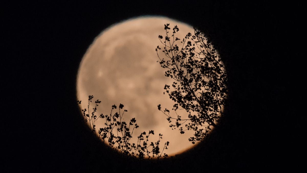 "2023's Last Supermoon: A Guide to Witnessing the Full Harvest Moon"