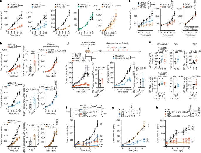 Activation of α2-adrenergic receptors triggers tumour immune rejection.