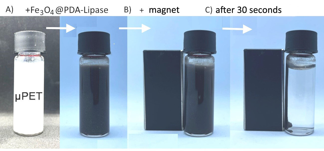 Featured image for Innovative Magnetic Nanoparticles Clean Microplastics from Water