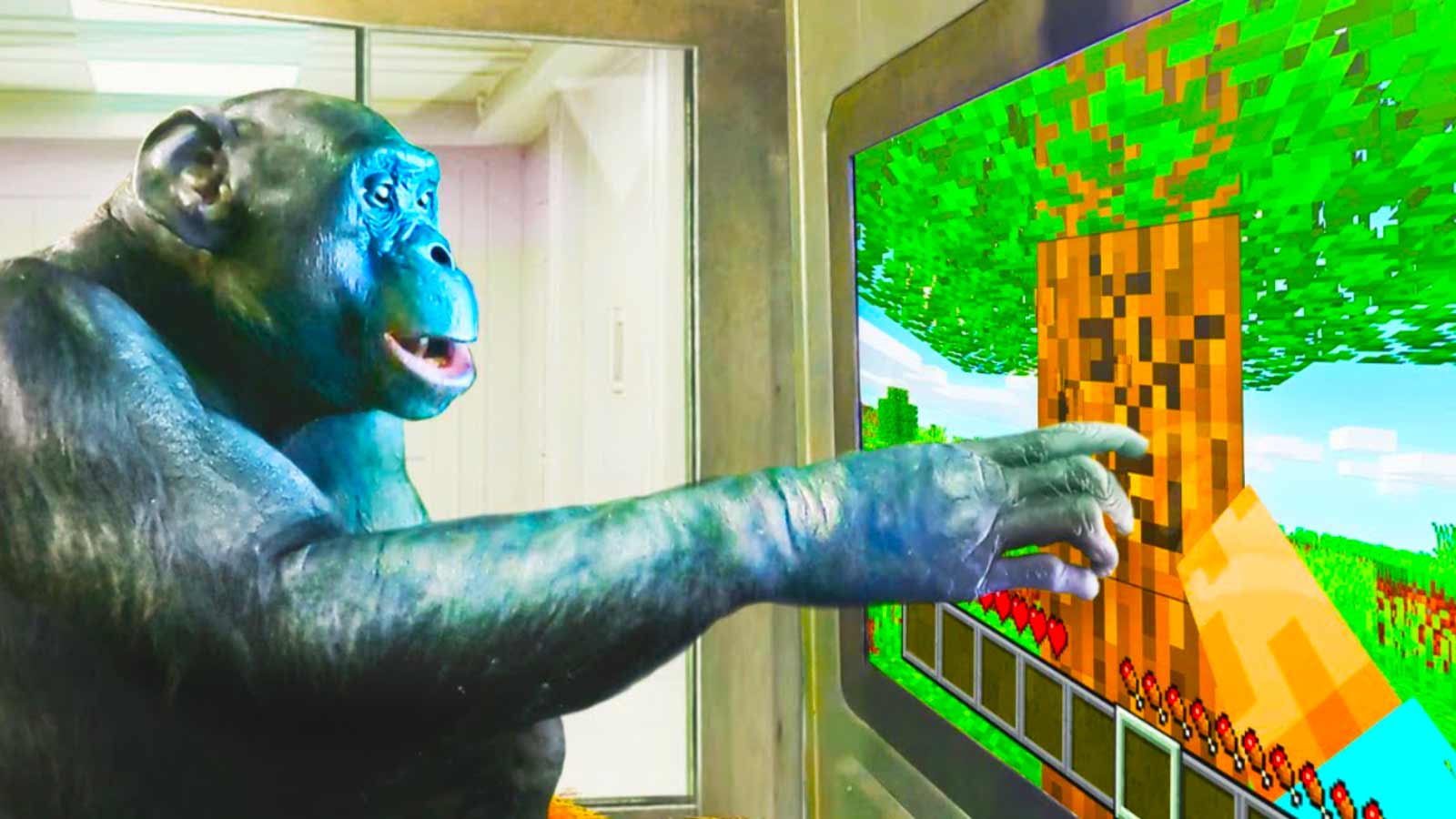 Featured image for Bonobo Ape Masters Video Games in Groundbreaking Study