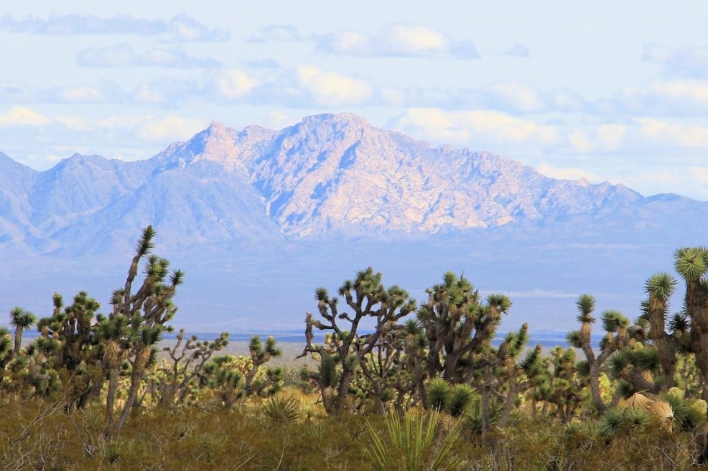 Biden's Monumental Moves: New National Monuments in Nevada and Texas.