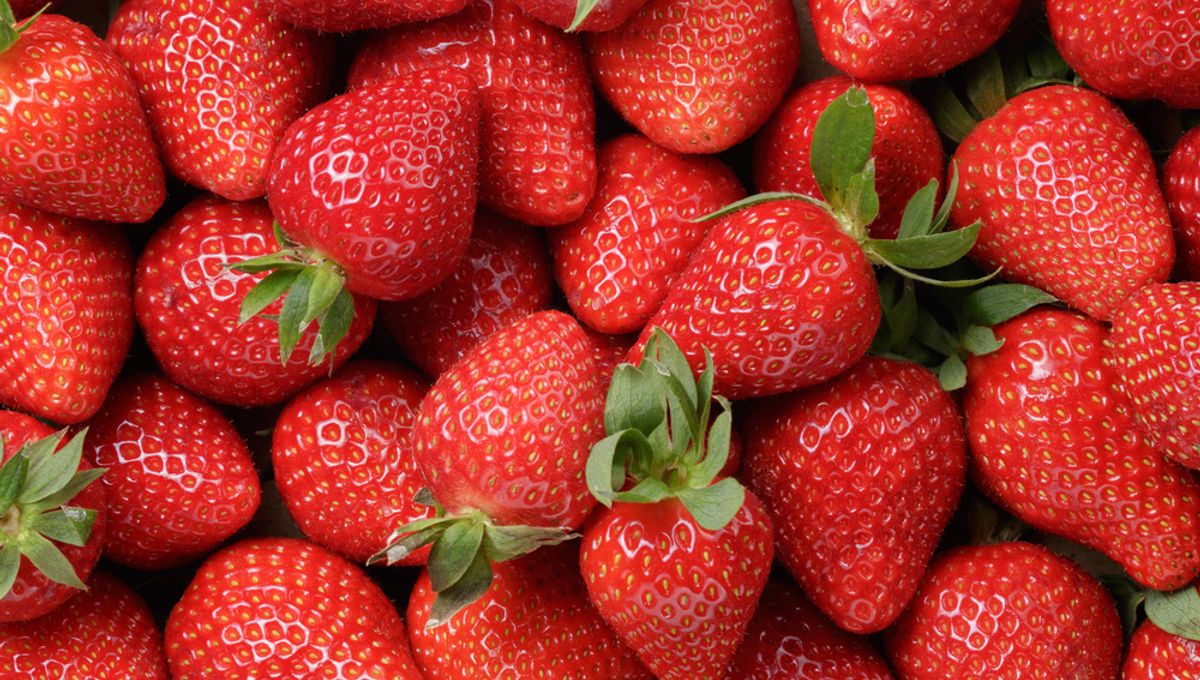 Featured image for "The Truth About the White Dots on Strawberries"