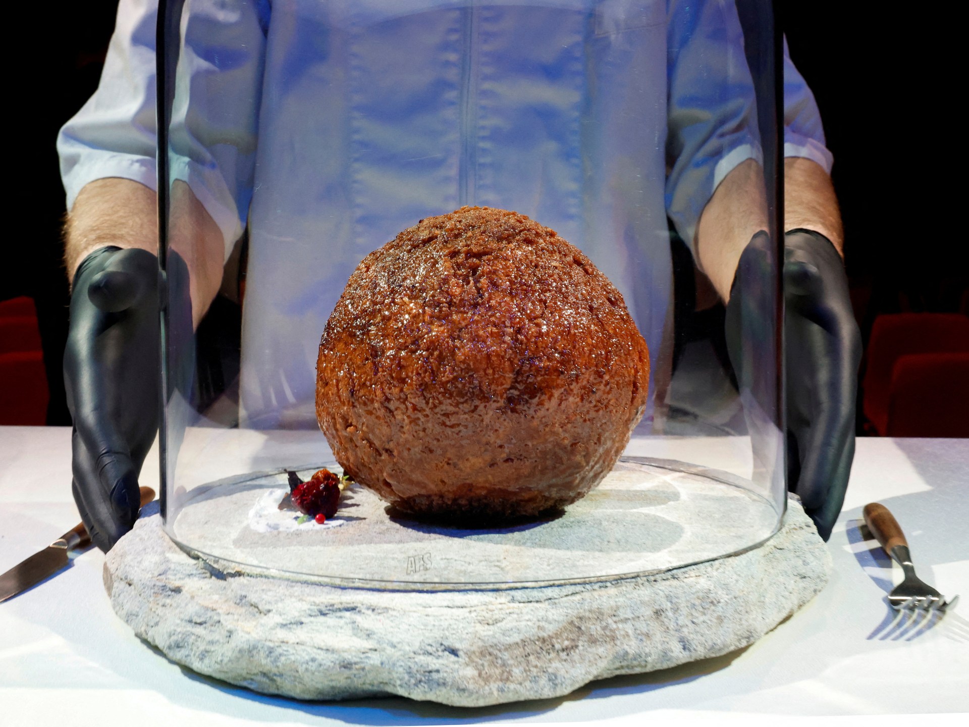 Featured image for "Food firm unveils giant meatball made with extinct mammoth DNA"