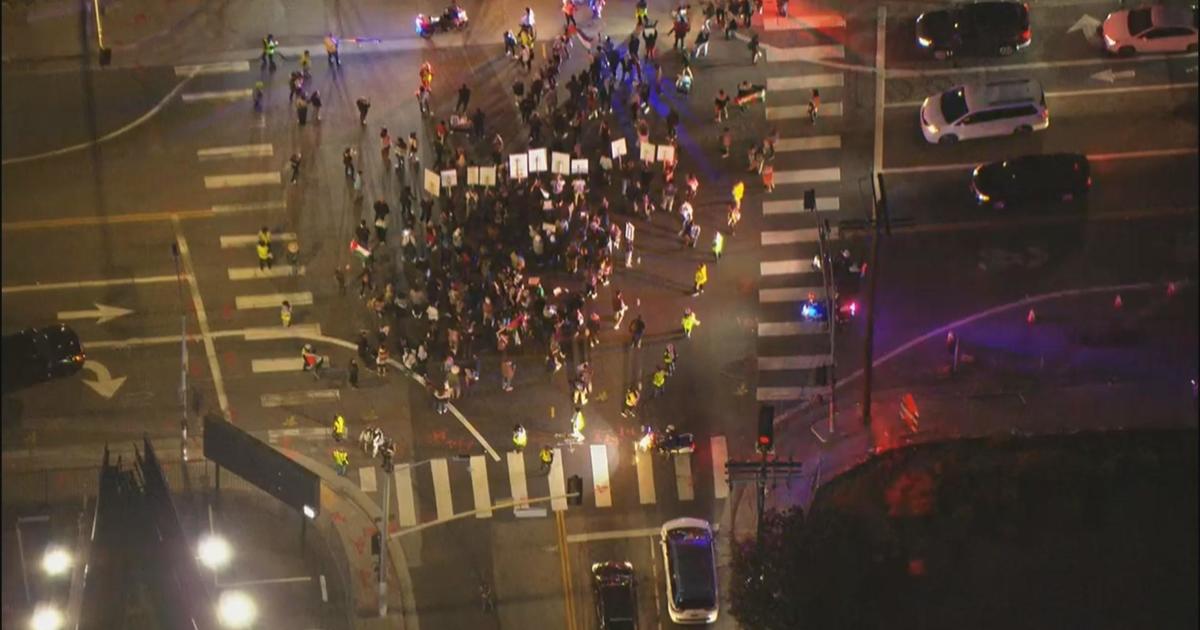 Calls for Ceasefire Echo Across US as Protests Disrupt Major Cities