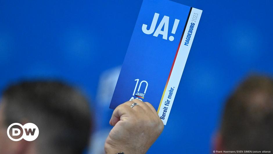 "Germany's AfD Joins Far-Right Allies in EU Parliament"