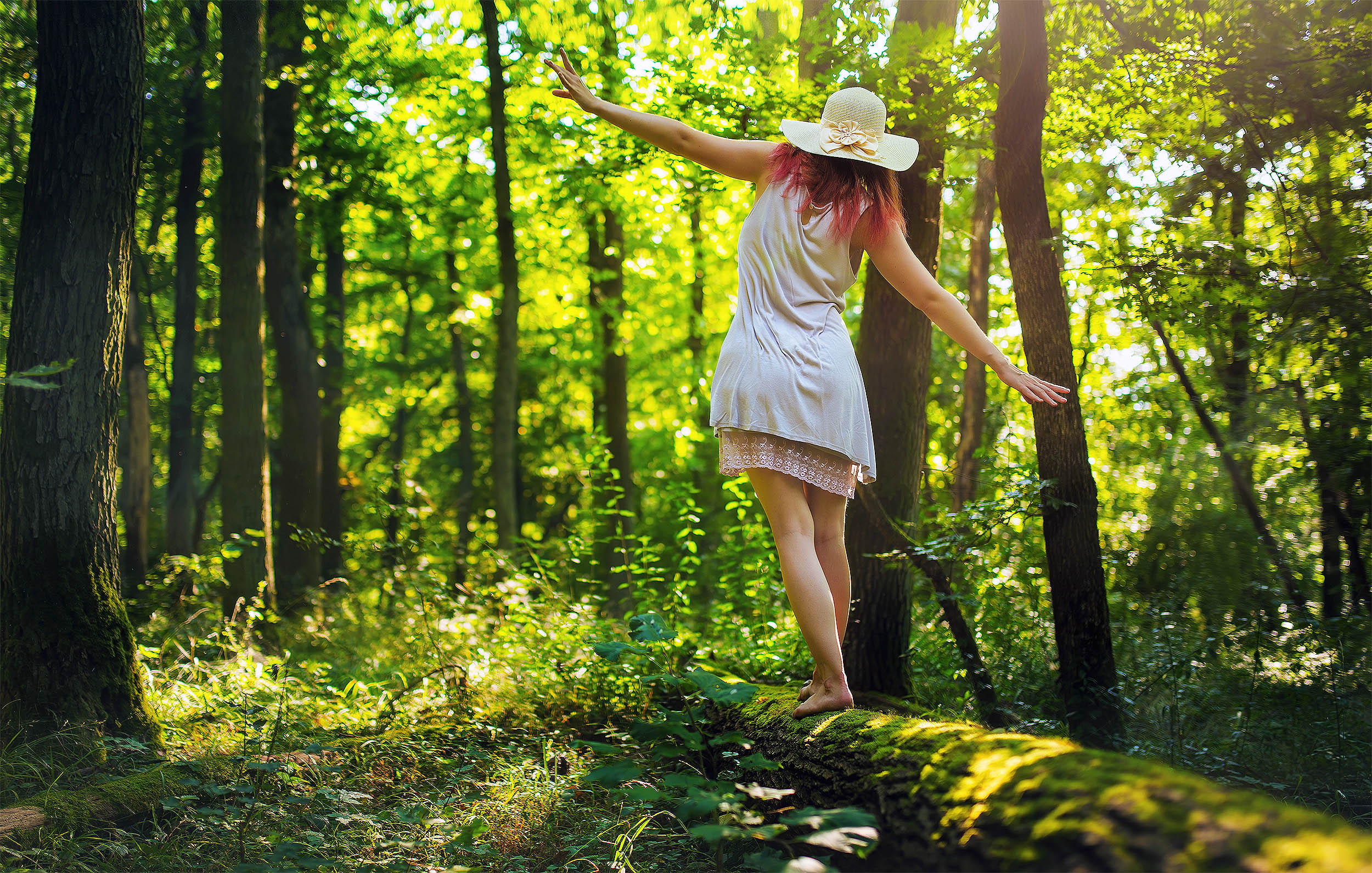 Featured image for Science Shows Forest Walks Foster Inner Peace and Self-Transformation