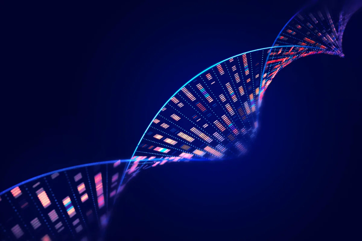 The Genetic Link Between Fertility and Lifespan