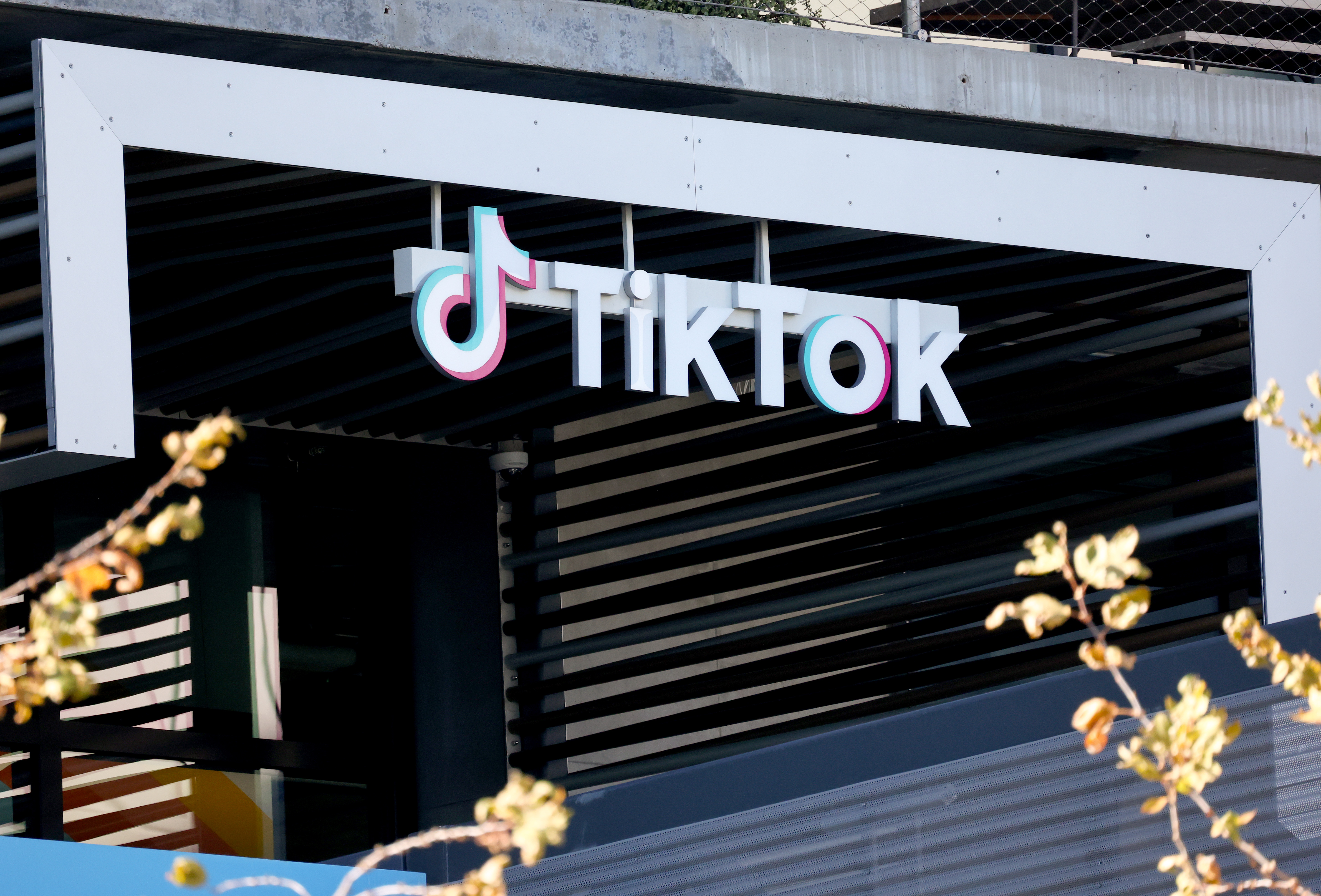 TikTok's Uncertain Future: Influencers, Buyers, and Government Intervention